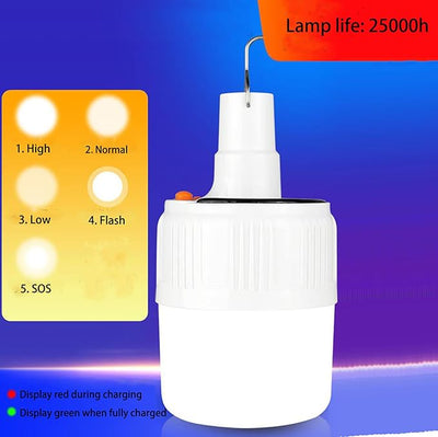 Emergency LED Light Bulb